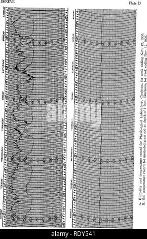 . Eine montane Regenwald; ein Beitrag zur physiologischen Pflanzengeographie von Jamaika. Ökologie der Pflanzen; Botanik. Platte 23. ein. Bitte beachten Sie, dass diese Bilder sind von der gescannten Seite Bilder, die digital für die Lesbarkeit verbessert haben mögen - Färbung und Aussehen dieser Abbildungen können nicht perfekt dem Original ähneln. extrahiert. Shreve, Forrest, 1878-1950. Washington, D.C., Carnegie Institution in Washington Stockfoto