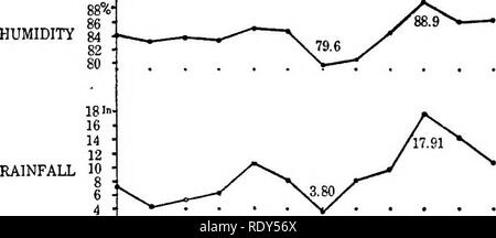 . Eine montane Regenwald; ein Beitrag zur physiologischen Pflanzengeographie von Jamaika. Ökologie der Pflanzen; Botanik. 14A MONTANE EAIN-Wald, Verdunstung. In Tabelle 6 sind die monatlichen bedeutet, dass der Niederschlag für diese drei Gemeinden, die für Cinchona auf Datensätze für 39 Jahre (1871 bis 1909); die für die New Haven Lücke auf 14 Jahre (1882 bis 1895, mit Zwanzig - vier Monate fehlt); die für die Blue Mountain Peak auf 19 Jahre (1890 bis 1898, '^ mit neun Monate fehlt): Die Daten für die drei Bergstationen reichlich Regen - fallen zu allen Jahreszeiten zeigen, aber ein Sturz wh Stockfoto