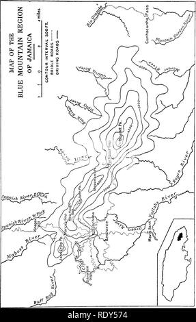 . Eine montane Regenwald; ein Beitrag zur physiologischen Pflanzengeographie von Jamaika. Ökologie der Pflanzen; Botanik. SHREVE Platte 2. Bitte beachten Sie, dass diese Bilder sind von der gescannten Seite Bilder, die digital für die Lesbarkeit verbessert haben mögen - Färbung und Aussehen dieser Abbildungen können nicht perfekt dem Original ähneln. extrahiert. Shreve, Forrest, 1878-1950. Washington, D.C., Carnegie Institution in Washington Stockfoto