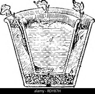 . Die Gartenbau zahlen; Erfahrungen im Garten- und Obstbau. Im Garten arbeiten. Obstplantagen und ihre Pflege 27 WURZEL SCHNEIDEN so behandelt im frühen Frühling, und so sind Johannisbeeren und Stachelbeeren und viele winterharte Stauden für Orna-geistige Zwecke. In vielen Fällen die Zweige sind lediglich in den Boden gedrückt und die Erde gefestigter über Sie. Für innen Stecklinge eine Untertasse mit Sand gefüllt und feucht gehalten für solche Grünes holz stecklinge, Geranium, Nelke, Chrysantheme, etc. Wenn diese produziert Wurzeln haben können sie in kleine Töpfe oder Kästen umgepflanzt und wieder von Zeit zu Zeit als verpflanzt werden. Stockfoto