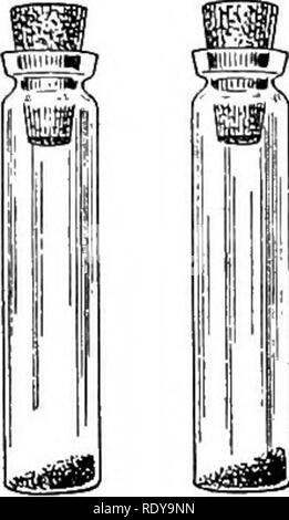 . Der Beginner's Garten Buch; ein Lehrbuch für den oberen Grammatik Grade. Im Garten arbeiten. Der Boden 85 Dieses Experiment kann, wenn wir Sie, versucht, mit mehr Trinkgläser, um die Anzahl der sechs oder sieben. Es ist klar, wie -. Bitte beachten Sie, dass diese Bilder sind von der gescannten Seite Bilder, die digital für die Lesbarkeit verbessert haben mögen - Färbung und Aussehen dieser Abbildungen können nicht perfekt dem Original ähneln. extrahiert. Französisch, Allen, 1870-1946. New York, der Macmillan Co. Stockfoto