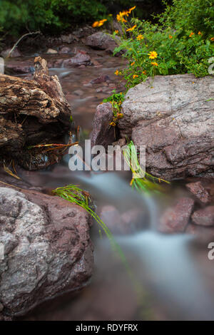 Wasser fließt aus Soledad Canyon, eine Oase in der Wüste außerhalb von Las Cruces, New Mexico Stockfoto