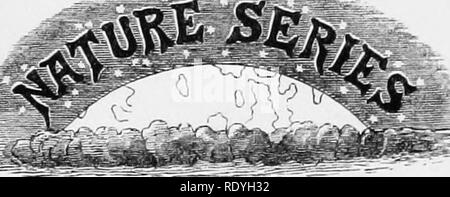 . Auf Britischen wilden Blumen in Bezug auf die Insekten. Blumen; Düngung von Pflanzen, die von Insekten und Pflanzen. Auf britischen wilde Blumen CONSIDERKl) IN BEZUG AUF DIE INSEKTEN.. Bitte beachten Sie, dass diese Bilder sind von der gescannten Seite Bilder, die digital für die Lesbarkeit verbessert haben mögen - Färbung und Aussehen dieser Abbildungen können nicht perfekt dem Original ähneln. extrahiert. Lubbock, John, Sir, 1834-1913. London, Macmillan und Co. Stockfoto