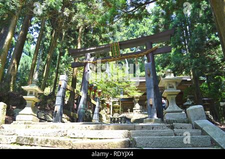 Atago-jinja (Kyoto) torii. Stockfoto