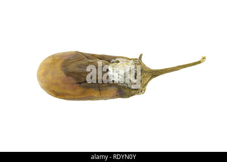 Aubergine faulen isoliert auf weißem Hintergrund Stockfoto