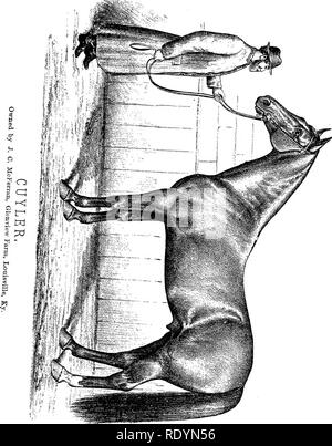 . Chester ist kompletter Trab und Tempo aufnehmen, enthält Zusammenfassungen aller Rassen trottete oder stimulierten in den Vereinigten Staaten oder Kanada, die von den frühesten stammt aus der Nähe von 1883. Horse-racing. . Bitte beachten Sie, dass diese Bilder sind von der gescannten Seite Bilder, die digital für die Lesbarkeit verbessert haben mögen - Färbung und Aussehen dieser Abbildungen können nicht perfekt dem Original ähneln. extrahiert. Chester, Walter T. in New York, der Compiler Stockfoto