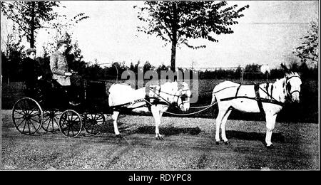 . Unsere heimische Tiere, ihre Gewohnheiten, Intelligenz und Nützlichkeit; tr. Aus dem Französischen von Gos. De Voogt, von Katharine S. Wormeley;. Heimische Tiere. A I'AIR () i-Yorxc; Mulks. W'', noxi liiri^i". v; durch IVIicrosoft® digitalisiert. Bitte beachten Sie, dass diese Bilder sind von der gescannten Seite Bilder, die digital für die Lesbarkeit verbessert haben mögen - Färbung und Aussehen dieser Abbildungen können nicht perfekt dem Original ähneln. extrahiert. Voogt, Gos de, 1863-1918; Wormeley, Katharine Prescott; Burkett, Karl Wilhelm, 1873 - Hrsg. Boston, Ginn &Amp; Company Stockfoto