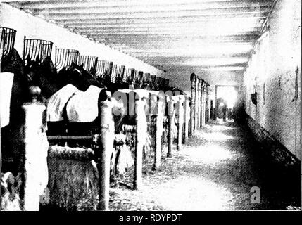 . Unsere heimische Tiere, ihre Gewohnheiten, Intelligenz und Nützlichkeit; tr. Aus dem Französischen von Gos. De Voogt, von Katharine S. Wormeley;. Heimische Tiere. 1^6 UNSERE HAUSTIERE. Ort, ist schon seit langem, und trinken, und von der es mehrere als koumiss bestehen, die tonische Eigenschaften. Wenn wir eine Karte nehmen und die Fron-Tiers innerhalb der Stutenmilch, Ziegenmilch, Camel's Milch und Milch der Kuh sind betrunken, so werden wir finden, dass das Gebiet der Con-privat von Stutenmilch viel am größten ist. T (; Völker leben in einem Zustand der Natur Haut des Pferdes immer gewesen ist - er) "Nützlich für die makini/Kleider, Stockfoto