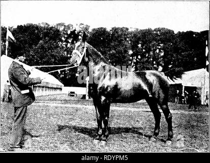 . Unsere heimische Tiere, ihre Gewohnheiten, Intelligenz und Nützlichkeit; tr. Aus dem Französischen von Gos. De Voogt, von Katharine S. Wormeley;. Heimische Tiere. Blue-Whttf, AIaki", ((iicR. NtAX Trainer Hoks'l" V (t Ohren<)] d-form für den Sattel und Kabelbaum; sie Ha'e große endiu'Ance und ein feuriges Temperament. Von den Tagen George I. von England, der erste der Hannoverschen Könige, acht dieser Pferde haben die königliche Trainer auf allen staatlichen Anlässen gezeichnet, Ihren letzten Auftritt am Queen Victoria Diamond Jubilee ich] ich iSgj. Oldenburg und Friesland stehen, ganz abgesehen von dem Rest von Deutschland Ich Stockfoto