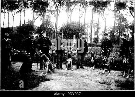 . Unsere heimische Tiere, ihre Gewohnheiten, Intelligenz und Nützlichkeit; tr. Aus dem Französischen von Gos. De Voogt, von Katharine S. Wormeley;. Heimische Tiere. Hunde der Thi: Zoll Sl •: R^' Eis in Roubaix. Rkadv zu starten, indem Sie den IVIicrosoft® digitalisiert. Bitte beachten Sie, dass diese Bilder sind von der gescannten Seite Bilder, die digital für die Lesbarkeit verbessert haben mögen - Färbung und Aussehen dieser Abbildungen können nicht perfekt dem Original ähneln. extrahiert. Voogt, Gos de, 1863-1918; Wormeley, Katharine Prescott; Burkett, Karl Wilhelm, 1873 - Hrsg. Boston, Ginn &Amp; Company Stockfoto