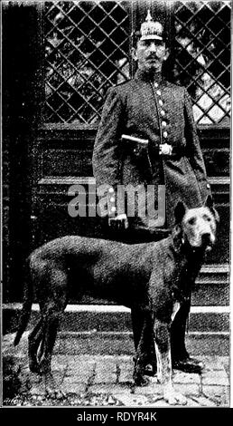 . Unsere heimische Tiere, ihre Gewohnheiten, Intelligenz und Nützlichkeit; tr. Aus dem Französischen von Gos. De Voogt, von Katharine S. Wormeley;. Heimische Tiere. 56 Unsere heimische Tiere. Geriiax Polizei Don erzählt. Es gibt jetzt einen Club für die Ent- wicklung von diesen Hunden und ihren Artgenossen. Das Gesetz könnte diese Tiere profitabel in bestimmten Fällen verwenden, und Sie konnten gix''en bei der Polizei als Beobachter und Begleiter werden. In entlegenen Quartier, wo 17-32 'Zwei]) olice Agenten beschäftigt werden können, einen Hund würde antworten, sowie eine Verstärkung, und wäre billiger sein als ein Mann. In der Tat, in Ham-burg, Stuttgart, Leipzig, l^ ausführen Stockfoto