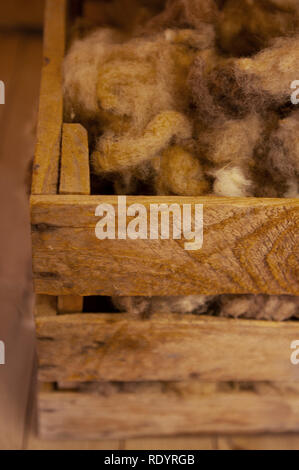 Kinchega Woolshed, Menindee, New South Wales, Australien Stockfoto