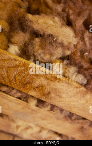 Kinchega Woolshed, Menindee, New South Wales, Australien Stockfoto