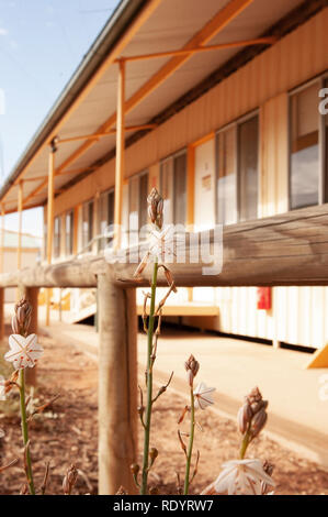 Kinchega Woolshed, Menindee, New South Wales, Australien Stockfoto