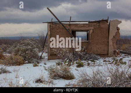 Schnee umgibt, Kakteen und die Ruinen eines adobe-Gebäude in der Mesilla Valley nach einem Wintersturm Stockfoto