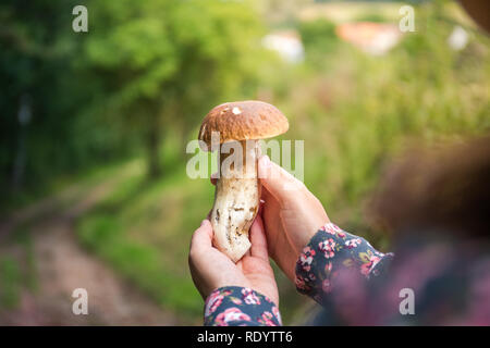 Mädchen fand schöne Pilze im Wald - Steinpilze. Stockfoto
