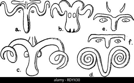 . Umleitungen von einem Naturwissenschaftler. Natural History. Mehr als die BARNACtE UND GANS 131 Die große Mutter - "Natur" - als Astarte oder Aphrodite aus dem Schaum des Meeres gestiegen. Die Seeleute und Fischer, marine Leben war noch mehr vertraut als der des Landes, und sie legten kleine Modelle. Abb. 14.- Phantasievoll designsiy Mykensean Künstler, die Änderung der schulp Fisch (Octopus oder "poulpe") in Kopf und andere Formen der ein Stier. ein. Octopus auf einen Pokal aus Kreta gezogen, die Arme reduziert auf zwei Augen, freistehende, b und c, Kopf Variationen von Bull der Octopus, von de Stockfoto