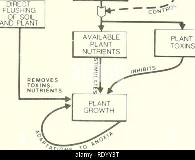 . Die Ökologie der delta Sümpfe des Coastal Louisiana: eine Gemeinschaft Profil. Marsh Ökologie - Louisiana, Feuchtgebiete - Louisiana. WIND UND MONDTIDES^0-, Exchange-, Sediment- und NÄHRSTOFFEINTRAG BODEN REDOXPOTENTIAL. J MIKROBIELLE^ anaeroben Stoffwechsel "nIO" J'â" flONS Abbildung 48. Marsh Boden Transformationen, die von den Gezeiten Hochwasser führen. Binnen-, sondern auch für kürzere Zeiträume (Tabelle 7), und dem Landesinneren floodwaters Langsamer ausgetauscht. Darüber hinaus ist die Streamside Sümpfe drain besser auf die Gezeiten, weil ihre Sedimente gröber sind. Sie enthalten auch mehr reduzierbaren Mineral Stockfoto