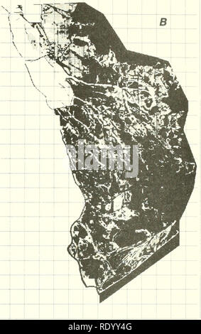 . Die Ökologie der delta Sümpfe des Coastal Louisiana: eine Gemeinschaft Profil. Marsh Ökologie - Louisiana, Feuchtgebiete - Louisiana. Abbildung 24. Edv-Re - Erstellung von der Westseite von Barataria Bay zeigt die Veränderung der Feuchtgebiete zwischen 1945 (a) und 1980 (b). Schwarz ist Open Water; Sümpfe werden gezeigt, wie unterschiedliche Schattierungen von Grau (Dozier 1983). Ein großes Delta, wie es historisch gesehen hat. Zusätzlich, Kanalisierung und leveeing den Fluss entrains Viel des Sediments, die Verhütung von Überschwemmungen, die Feder overbank interdistributary Sümpfe nährt. Nun gibt es starke Anzeichen dafür, dass die Rate der Sumpf Verlust wird Stockfoto