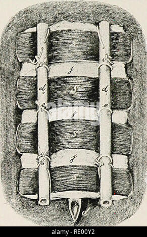 . Chirurgische und geburtshilflicher Operationen, für Studenten der Tiermedizin und Praktiker. Tierarztes. i8o DIE BA YER NAHT. Schienen 15 cm lang, 2 bis 4 cm breit, mit rpunded enden; iodoform Gaze; iodoform Ether 1:10. Technic. Nachdem die Haut lias über ein Gebiet mit einem Radius von 5 bis 6 cm geschoren worden. Aus der Wunde, die Naht Nadel gesteckt ist 2 bis 3 cm. von den Lippen durch die Haut und darunter liegende Gewebe, eine starke Entwässerung Rohr, d', übergeben. Abb. 14. Spwnt Verband. d, d', d", Entwässerung Rohre; e, Aufbewahrung der Naht (geschlossen Ende); e', Do, offenes Ende j, iodoform Gaze;. s, Schienen. Stockfoto
