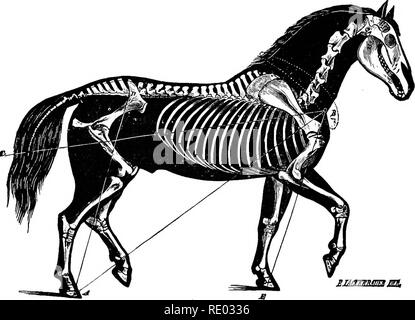 . Der Physiologie der Tiere; ein Lehrbuch für tierärztliche und