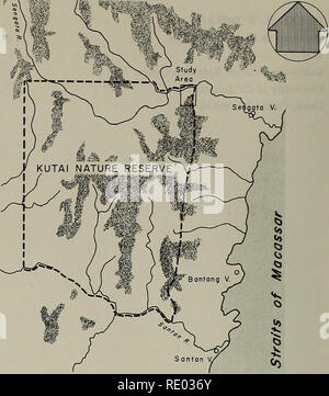 . Die Ökologie der arboreal folivores: ein Symposium an der Erhaltung und Research Center, National Zoological Park, Smithsonian Institution, Mai 29-31, 1975. Folivores; Waldökologie; Blätter; Säugetiere; Säugetiere. Analyse der Muster der Verteilung der Primatenarten, ich habe durch die folgenden hypoth fasziniert - Esis vorgeschlagen durch Mac Arthur und Levins (1964): "... die Arten, die auf einer bestimmten Pro spezialisieren - Teil der Mischung von zwei oder mehr bestimmten Ressourcen gefunden, nur wo Ihre bevorzugten Anteil gefunden wird, und wird von anderen Arten in anderen Lebensräumen ersetzt werden whe Stockfoto
