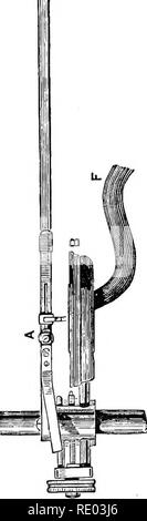 . Der Physiologie der Tiere; ein Lehrbuch für tierärztliche und medizinische Studenten und Praktiker. Physiologie, Vergleichende; Haustiere. Abb. 199.- Sanderson des EKG-Schreibers. Bitte beachten Sie, dass diese Bilder sind von der gescannten Seite Bilder, die digital für die Lesbarkeit verbessert haben mögen - Färbung und Aussehen dieser Abbildungen können nicht perfekt dem Original ähneln. extrahiert. Smith, Robert Meade, 1854 -. Philadelphia und London, F.A. Davis Stockfoto