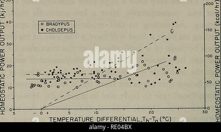 . Die Ökologie der arboreal folivores: ein Symposium an der Erhaltung und Research Center, National Zoological Park, Smithsonian Institution, Mai 29-31, 1975. Folivores; Waldökologie; Blätter; Säugetiere; Säugetiere. Damit kann auch der Einfluss von toxischen Substanzen in den Blättern von Bäumen und Sträuchern (reflektieren). Aber es scheint auch, dass die Reduzierung der relativen Größe der Muskelmasse deutlich Auswirkungen der Basalrate und der Umfang des Stoffwechsels. So werden die meisten arboreal folivores muss ziemlich groß sein (in der Regel 1 bis 5 kg) zu großen Mengen von Lebensmitteln mit einem niedrigen Kalorienzufuhr und Nutri-tiona Griff Stockfoto