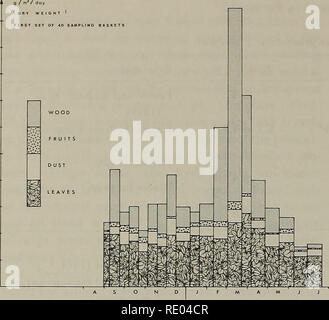 . Die Ökologie der arboreal folivores: ein Symposium an der Erhaltung und Research Center, National Zoological Park, Smithsonian Institution, Mai 29-31, 1975. Folivores; Waldökologie; Blätter; Säugetiere; Säugetiere. Lianen und Bäumen war: Lianen, 36 Prozent; Bäume, 59 Prozent; unbekannte Arten, 5 Prozent, die wahrscheinlich mehr Lianen als Bäume enthalten. Mit Ausnahme einer kleinen Spitze zwischen 9 und 24 (Abbildung 6), die Blätter fallen von lianen war regelmäßiger als die Bäume, aber einige individuelle Liana Arten zeigten eine Saisonalität in Blätter fallen. rlVrTrrTi - nTTn-n rflM^ Abbildung 4. S Stockfoto