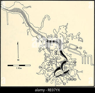 . Ökologie und Verhalten der Manatee (Trichechus Manatus) in Florida. Manatis; Säugetiere. Hartman - Manatees in Florida 31. Abb. 10. Manatee Durchgangsstraße vom Crystal River zu den wichtigsten Feder in Kings Bay (Pfeile). Schraffur zeigt Bereiche regelmäßig von manatees Für normale Aktivitäten genutzt. Tiefe in Meter bei Ebbe. Flüsse, die Ihren Anforderungen liefern. Im Sommer ist die Crystal River als Einwohnerzahl - nicht mehr Bedeutung zu als der Seekühe Withlacoochee, Homosassa, oder chassahowitzka Flüsse. Alle vier Flüsse Hafen klein, ständig schwankende manatee Populationen von April bis Oktober. In den Küstengebieten Stockfoto