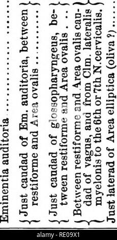 . Anatomische Technologie, die Hauskatze angewendet; eine Einführung in Human-, Veterinär- und vergleichende Anatomie. Katzen; Dissection; Säugetiere. Eine 5-a Al^.2 Eine â Â§ 2*^ 01a o'q. 3 o a a = 2 P f = a a'i^h a s a=a.2 p^3 ft m o 32 6 (5 32 S 3 9 g o5-S fan hn Â "^a |.2. J3 S. 5, = 3,3 u < 5 m3I ein - ein g g aj o o boa S'ft Ein.. a J ft ein ft 0) 13 R" 5 2 §-2' 3 3=^1 s a B • g | | | s Â £ Â"-. CCS ^." o Ft. I=3-I-i1<) p, b^m in M o § I A W i5! zi | zi Izi 15 âºi J, Ji kI. J.p p g a Â". Bitte beachten Sie, dass diese Bilder aus gescannten Seite Bilder, die wurden d Stockfoto