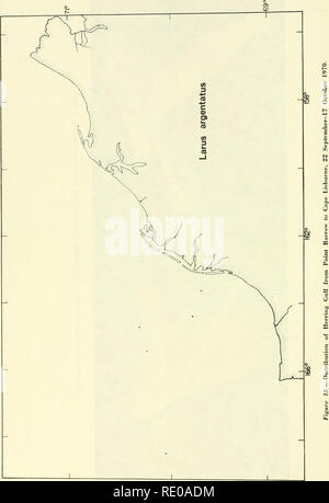 . Eine ökologische Studie in der östlichen Chukchi Sea: September-Oktober 1970. Marine Ökologie - chukchi Sea, Ozeanographie - Chukchi Meer; Chukchi Meer. 146. Bitte beachten Sie, dass diese Bilder sind von der gescannten Seite Bilder, die digital für die Lesbarkeit verbessert haben mögen - Färbung und Aussehen dieser Abbildungen können nicht perfekt dem Original ähneln. extrahiert. In den Vereinigten Staaten. Coast Guard. Ozeanographische Einheit; Ingham, Merton C., 1930 -. Washington, D.C.: US Coast Guard ozeanographische Einheit Stockfoto