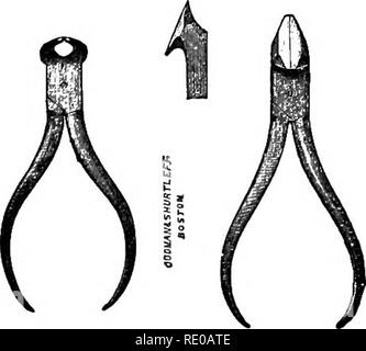 . Anatomische Technologie, die Hauskatze angewendet; eine Einführung in Human-, Veterinär- und vergleichende Anatomie. Katzen; Dissection; Säugetiere. 62 ANATOMISCHE TECHNOLOOT. Abticlb. I^o-Sbo. Pro Pbios Fläschchen, Groß-mouthed eh. Kranke Abfall Eimer, überdachte 196 Altpapier 195 Watchglasses pt. 11 Doz. 2.6A Benetzung Ijottle 37 170 Kabel, Messing, Kupfer und Eisen § 133. Er wird aus der vorstehenden Liste, der absolut notwendige Instrumente für die normalen anatomischen Arbeit sind 24.02.2004 Spinout-Aktivität auf relativ wenige und billige gesehen werden. Beim Kauf von Instrumenten, die Schüler sollten sich daran erinnern, dass ihr Wert nicht, hängt davon ab, Stockfoto