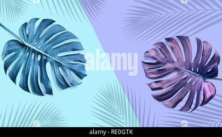 Tropische monstera Blätter mit Palmen Schatten auf pastellfarbenen Hintergrund. Natur und Urlaub Sommer Konzepte. Florale Elemente Stockfoto