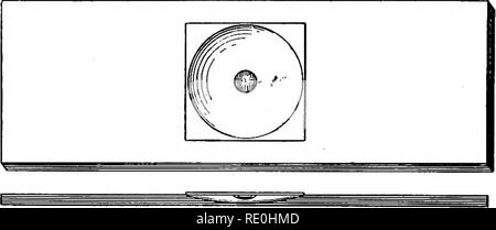 . Ein text-Buch auf die pathogenen Bakterien und Protozoen für Studenten der Medizin und Ärzte. Bakteriologie; pathogenen Bakterien und Protozoen. 148 Methoden der Mikro-organismen Beobachten, Der beste Weg, die Mikro-organismen zu untersuchen ist, was die hängenden Tropfens aufgerufen wird. Ein hohlschliff Folie verwendet wird, und mit der Hilfe von einem kleinen Kamelhaar Bleistift einen Ring von vaselin auf der Folie, nicht in die Höhlung gezeichnet wird. Einen Tropfen der zu untersuchende Material ist in der Mitte einer großen, sauberen Decken platziert - Glas und dann auf die Folie gelegt, so dass der Rückgang der Konkavität hängt, aber nicht berühren Stockfoto