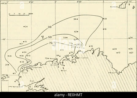 . Ökologische Studie der Amoco Cadiz Ölpest: Bericht des NOAA-CNEXO Gemeinsame wissenschaftliche Kommission. Amoco Cadiz (Schiff); Ölunfälle - Umweltaspekte Frankreich; Ölunfälle - Umweltaspekte Nordatlantik. Ölverschmutzung IM WESTLICHEN ÄRMELKANAL (April 1978) Einen Monat nach dem Wrack, Sedimente wurden während eines ozeanographischen Kreuzfahrt (R/V SUROIT) zum Meeresgrund Kontamination der westlichen Ärmelkanal bewerten gesammelt. Die in die Stichprobe einbezogenen Sedimente wurden Grob- bis Mittelkörnigen kalkhaltigen Sanden (mehr als 70 % CaCo,). In den Buchten von Morlaix und Lannion und in der Nähe der Aber Zone, t Stockfoto