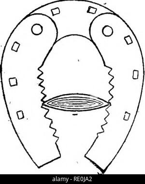 . Krankheiten & Amp; Erkrankungen des Pferdes, eine Abhandlung über equine Medizin und Chirurgie, wird ein Beitrag zur Wissenschaft der vergleichenden Pathologie. Pferde. Tierärzte haben nlany Formen der Schuh für die Linderung von chronischen hufrollenentzündung entwickelt. Wir fügen zwei von diesen, aber wir reden nicht von ihren Wert, da wir keine Erfahrung ihrer Wirksamkeit bei der Verhinderung der Fuß/Rom immer abgeschlossen haben. Bitte beachten Sie, dass diese Bilder extrahiert werden aus der gescannten Seite Bilder, die digital haben für die Lesbarkeit verbessert - Färbung und Aussehen dieser Abbildungen können nicht Perfekt rese Stockfoto