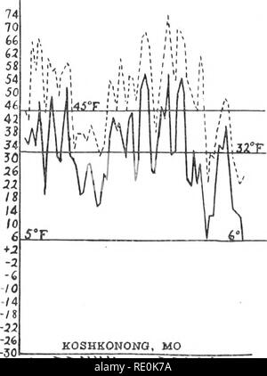 . Die tötung von pflanzlichen Gewebe durch niedrige Temperaturen. Pflanzen, Auswirkung der Temperatur auf; Frost. Dezember '05 Januar '06 Februar '06. Dez. '06 '06 Jan. 07 Fi. Bitte beachten Sie, dass diese Bilder sind von der gescannten Seite Bilder, die digital für die Lesbarkeit verbessert haben mögen - Färbung und Aussehen dieser Abbildungen können nicht perfekt dem Original ähneln. extrahiert. Chandler, William Henry, 1878 -. [Columbia, MO. Stockfoto