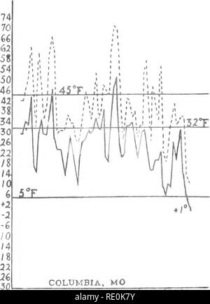 . Die tötung von pflanzlichen Gewebe durch niedrige Temperaturen. Pflanzen, Auswirkung der Temperatur auf; Frost. Dez. '04 Januar '05 Februar '05 KOSHKONONQ, MO Dez. '05 Jan. 'Oe Feb.'06. Dez. '06 Januar '07 Februar 'Feb.'07. Bitte beachten Sie, dass diese Bilder sind von der gescannten Seite Bilder, die digital für die Lesbarkeit verbessert haben mögen - Färbung und Aussehen dieser Abbildungen können nicht perfekt dem Original ähneln. extrahiert. Chandler, William Henry, 1878 -. [Columbia, MO. Stockfoto