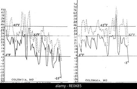 . Die tötung von pflanzlichen Gewebe durch niedrige Temperaturen. Pflanzen, Auswirkung der Temperatur auf; Frost. Dez. '04 Januar '05 Februar '05 thw. &Gt; ns-Jan. '06 Dez. '05 Nov. '06. Bitte beachten Sie, dass diese Bilder sind von der gescannten Seite Bilder, die digital für die Lesbarkeit verbessert haben mögen - Färbung und Aussehen dieser Abbildungen können nicht perfekt dem Original ähneln. extrahiert. Chandler, William Henry, 1878 -. [Columbia, MO. Stockfoto