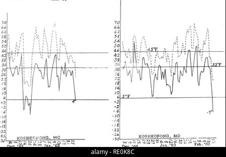 . Die tötung von pflanzlichen Gewebe durch niedrige Temperaturen. Pflanzen, Auswirkung der Temperatur auf; Frost. * -=3;:; 55 "^" C^o £ K-O&gt;^Si;;;;;;;; Dez. '02 Januar '03 Februar '03. Bitte beachten Sie, dass diese Bilder sind von der gescannten Seite Bilder, die digital für die Lesbarkeit verbessert haben mögen - Färbung und Aussehen dieser Abbildungen können nicht perfekt dem Original ähneln. extrahiert. Chandler, William Henry, 1878 -. [Columbia, MO. Stockfoto