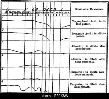 . Anlage: Qualitative und quantitative Analyse. Pflanzen. Blauholz; Auskochen verdünnen" (lueinatoxjUzi). "Als 7; nach Zugabe von am-monia. BranUwood; Auskochen nach Zugabe von am-monia (braaillin). Sandelholz; Sehr verdünnte Abkochung (santalin). Alkannin; verdünnen alkoholische Lösung. Ich 2 13 II Curcumin; verdünnten alkoholischen fustic aolution (Gleichen). A^2/1 Chlorophyll; fr^ah Alco-holic Lösung. 1 U M kL. Cl m Die aame; nach halten.. Bitte beachten Sie, dass diese Bilder aus gescannten Seite Bilder, die digital für die Lesbarkeit verbessert haben mögen - Färbung und Aussehen dieser illustr extrahiert werden Stockfoto