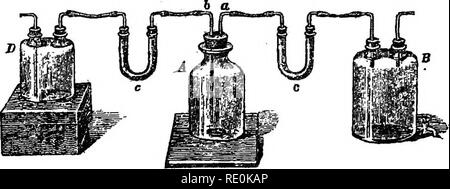 . Anlage: Qualitative und quantitative Analyse. Pflanzen. § 22. DETECnON usw., ÄTHERISCHER ÖLE. 21 müssen behandelt wie oben beschrieben werden, und das Alkaloid so isoliert, die in die Extrakte, in denen pflanzliche Basen gesucht werden sollen. J5 XAMINAT 10K das ätherische Öl. § 22. Erkennung Mitte Esfmation. ^ Hier, wie in § 11, werden wir zunächst die einfacheren Fall, nämlich, dass in der ^^er Testbenzin wurde entfernt ätherisch, aber kein Öl, oder zumindest nur eine sehr kleine Menge zu diskutieren. Wie Öl, ätherisches Öl kann aJso häufig unter dem Mikroskop erkannt werden als stark lichtbrechende Globuli oder Dro Stockfoto