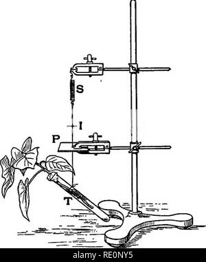 . Praktische Physiologie der Pflanzen. Pflanzenphysiologie; 1894. 92 FEDERWAAGE. [CH. IV für die Demonstration der Gewichtsverlust durch Transpiration, und es ist wahrscheinlich, dass es sein kann, für nützlich zu sein. Abb. 17. Exp. H6. die Forschung unter bestimmten * Bedingungen. Eine Zweigniederlassung, die in einem Reagenzglas mit Wasser T ausgesetzt wird, die durch ein Kabel mit einer Spiralfeder S. Bei P der Draht durch ein kleines Loch in eine Metallplatte verläuft: in Z' ein feiner gesponnen Glas filament horizontal zu den Draht befestigt ist. Als T verliert Gewicht der Index steigt und seine Bewegung wird durch einen horizontalen Mikroskop aufgenommen. Mit der schwächsten Leistung Stockfoto