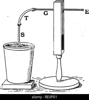 . Praktische Physiologie der Pflanzen. Pflanzenphysiologie; 1894. 68 Starten Sie den Druck. [CH. Krank bei E.Wenn der Gummischlauch - ist eine Spalte mit Luft in den Schlauch gezogen wird und dient als Index des. Abb. H. in der Exp. 88. Rate von Strömung, wie Es fährt jetzt das Rohr, die gestaffelt sein sollten. Durch die Bewässerung der Erde mit warmem Wasser eine erheblich beschleunigt der Durchflußmenge erreicht ist, sondern ob es aufgrund der erhöhten root Druck oder der Ausbau der Luft im Gewebe ist nicht leicht zu sagen. (89) Root-Druck. Die Kraft der Wurzel Druck eine markante Methode ist, dass der von Herrn Gardiner in seinen Vorträgen benutzt zu demonstrieren. Stockfoto