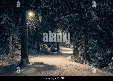 Moody Landschaft mit Schnee weg und Licht im Winter abends in Finnland Stockfoto