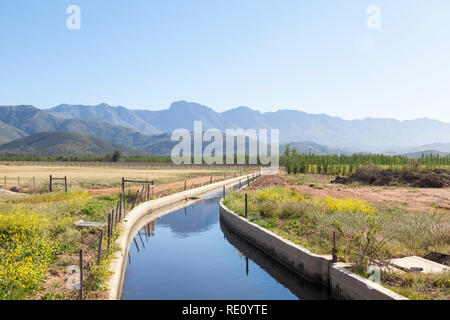 Bewässerungskanal mit Wasser in die Weingebiete des 'Breede River Valley, Robertson, Western Cape, Südafrika mit Blick auf die Langeberg Mountains Stockfoto