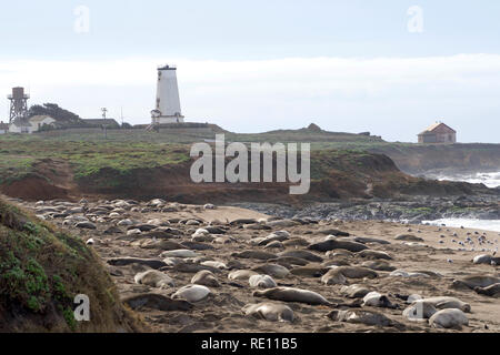 Piedras Blancas Leuchtturm an der kalifornischen Küste am Point Piedras Blancas, etwa 5,5 km westlich von nordwestlich von San Simeon, CA. Aus gesehen Stockfoto