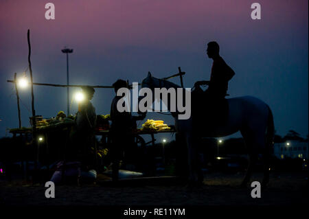 Ein Pferd Reiter auf Marina Beach in Chennai in der Dämmerung in einer Garküche Stockfoto