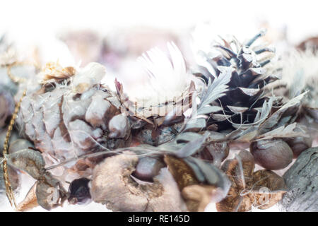 Weihnachtskränze Stockfoto